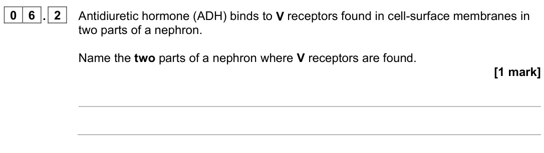 June 2023 Paper 2, question 06.2: Antidiuretic hormone (ADH) binds to V receptors found in cell-surface membranes in two parts of a nephron. Name the two parts of a nephron where V receptors are