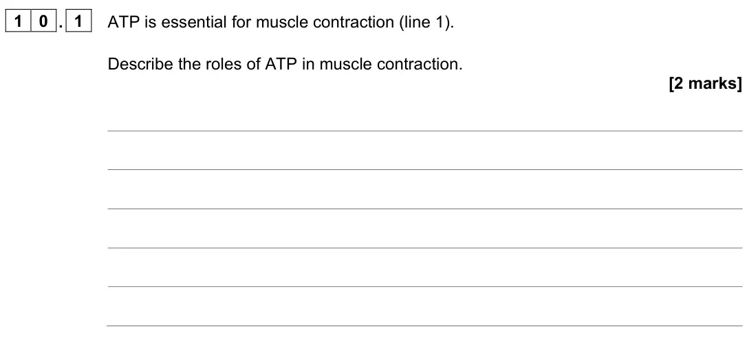 June 2023 Paper 2, question 10.1: ATP is essential for muscle contraction (line 1). Describe the roles of ATP in muscle contraction. [2 marks]