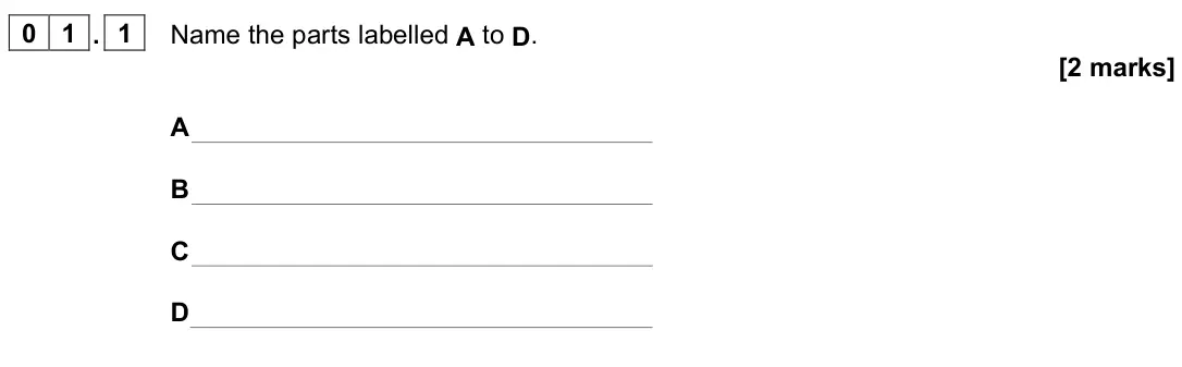 June 2024 Paper 2, question 01.1: Name the parts labelled A to D. [2 marks] A B C D