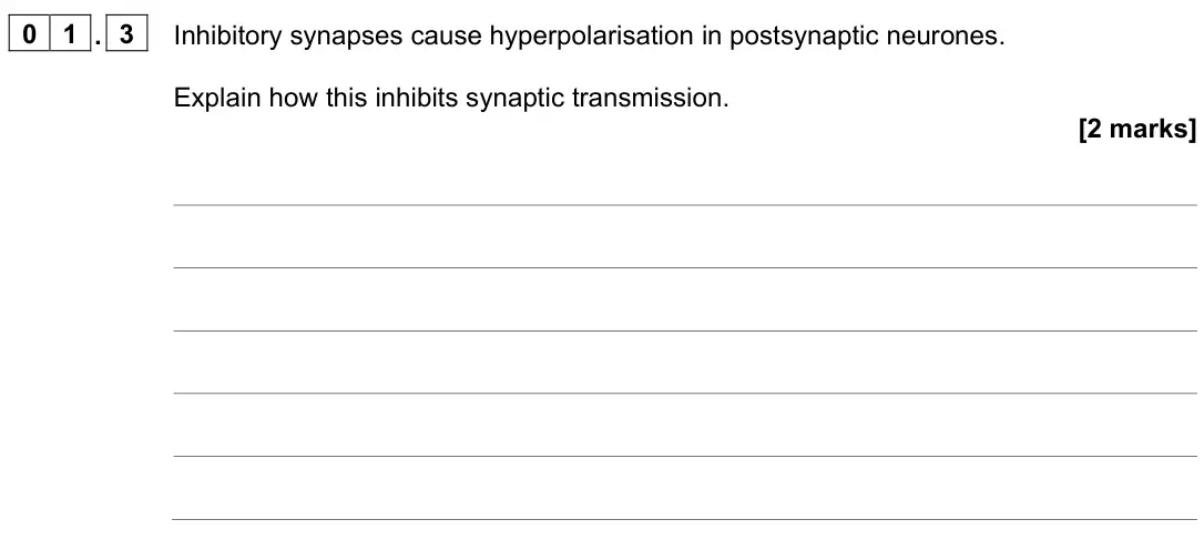 June 2024 Paper 2, question 01.3: Inhibitory synapses cause hyperpolarisation in postsynaptic neurones. Explain how this inhibits synaptic transmission. [2 marks]