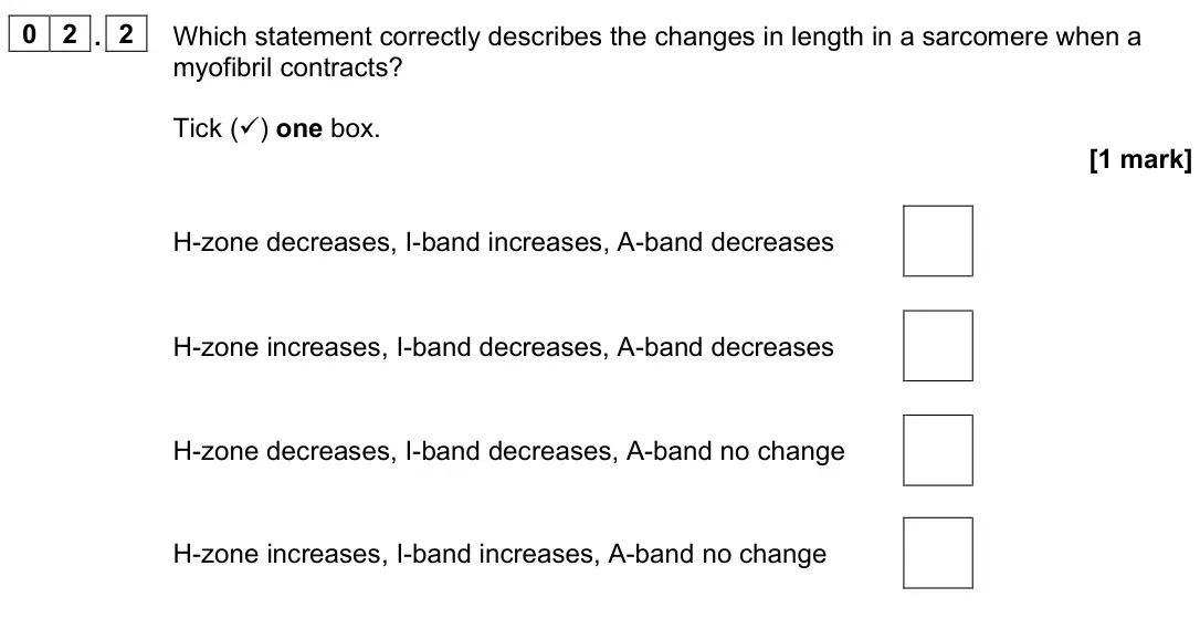 June 2024 Paper 2, question 02.2: Which statement correctly describes the changes in length in a sarcomere when a myofibril contracts? Tick () one box. [1 mark] H-zone decreases, I-band increas
