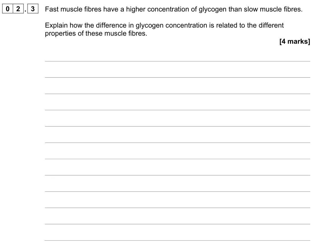 June 2024 Paper 2, question 02.3: Fast muscle fibres have a higher concentration of glycogen than slow muscle fibres. Explain how the difference in glycogen concentration is related to the diffe
