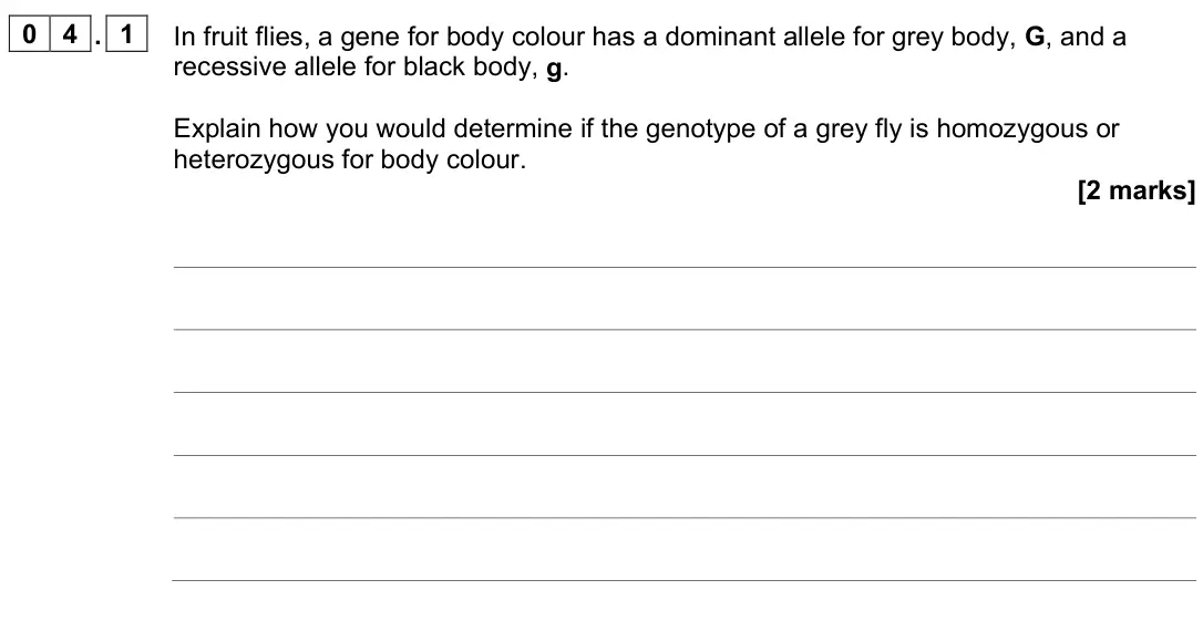 June 2024 Paper 2, question 04.1: In fruit flies, a gene for body colour has a dominant allele for grey body, G, and a recessive allele for black body, g. Explain how you would determine if the