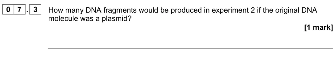 June 2024 Paper 2, question 07.3: How many DNA fragments would be produced in experiment 2 if the original DNA molecule was a plasmid? [1 mark]