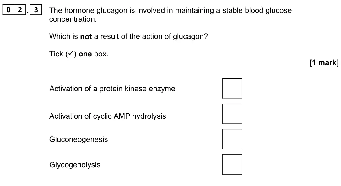 June 2025 Paper 2, question 02.3: The hormone glucagon is involved in maintaining a stable blood glucose concentration. Which is not a result of the action of glucagon? Tick () one box. [1 mark