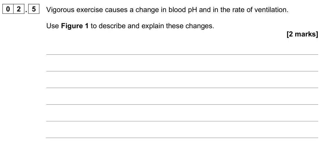 June 2025 Paper 2, question 02.5: Vigorous exercise causes a change in blood pH and in the rate of ventilation. Use Figure 1 to describe and explain these changes. [2 marks]