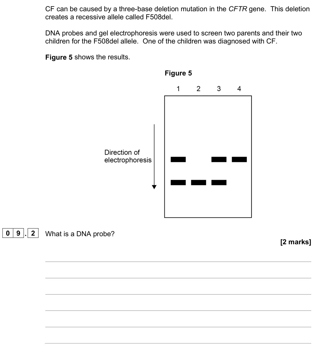 June 2025 Paper 2, question 09.2: What is a DNA probe? [2 marks]