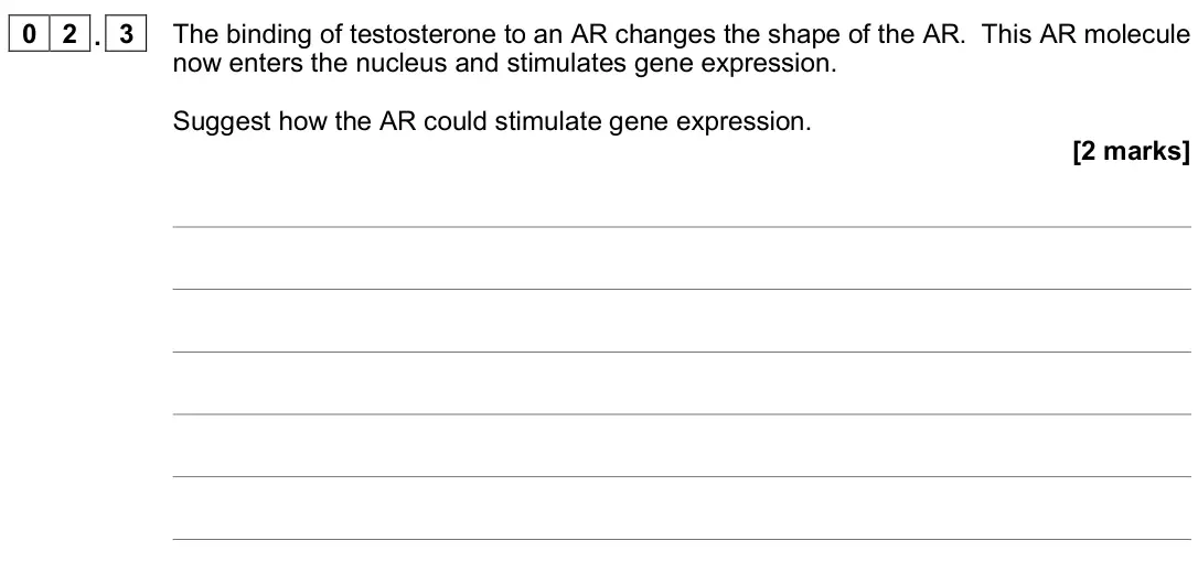 November 2020 Paper 2, question 02.3: The binding of testosterone to an AR changes the shape of the AR. This AR molecule now enters the nucleus and stimulates gene expression. Suggest how the AR cou