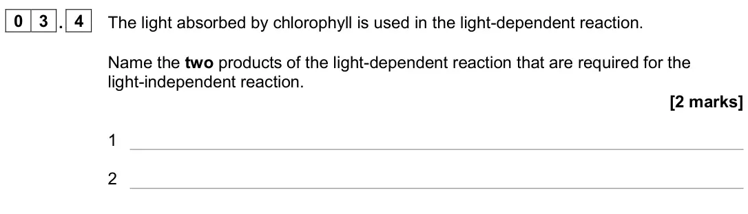 November 2020 Paper 2, question 03.4: The light absorbed by chlorophyll is used in the light-dependent reaction. Name the two products of the light-dependent reaction that are required for the light