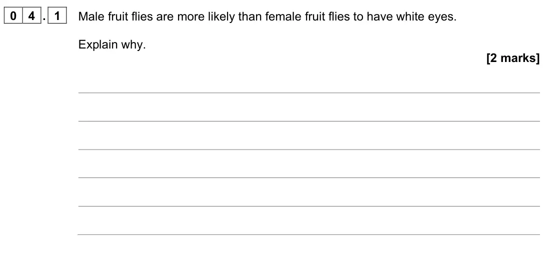 November 2021 Paper 2, question 04.1: Male fruit flies are more likely than female fruit flies to have white eyes. Explain why. [2 marks]