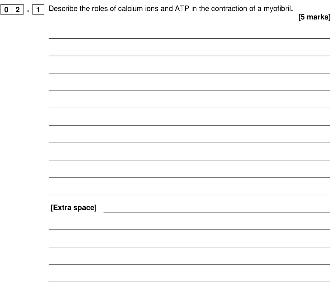Specimen Paper 2, question 02.1: [ ]