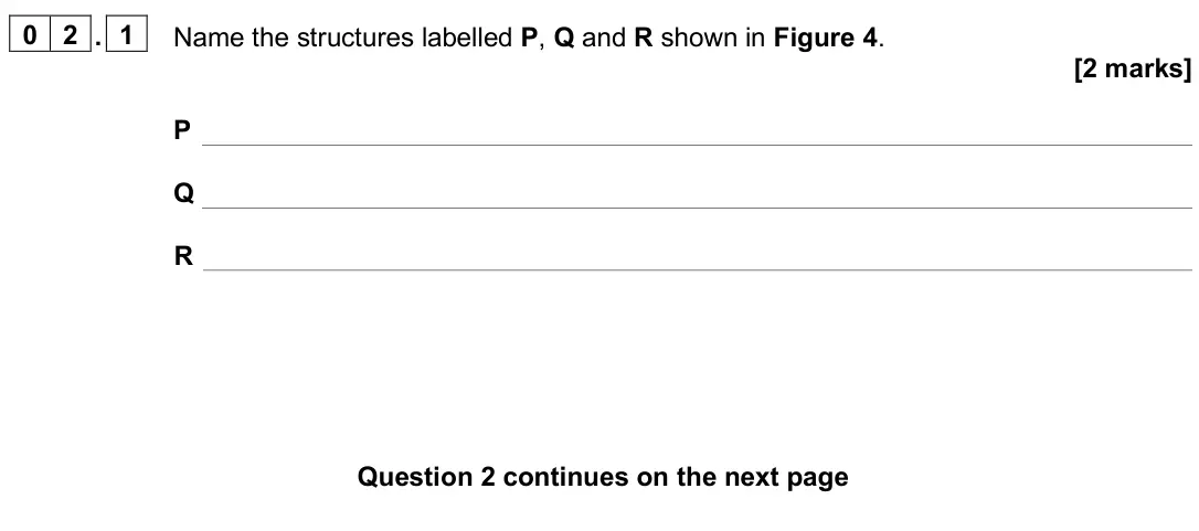 June 2022 Paper 3, question 02.1: Name the structures labelled P, Q and R shown in Figure 4. [2 marks] P Q R