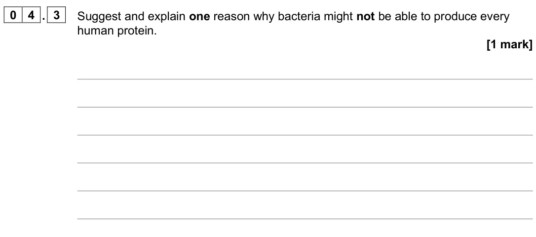 June 2022 Paper 3, question 04.3: Suggest and explain one reason why bacteria might not be able to produce every human protein. [1 mark]