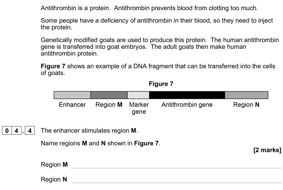 June 2022 Paper 3, question 04.4: The enhancer stimulates region M. Name regions M and N shown in Figure 7. [2 marks] Region M Region N