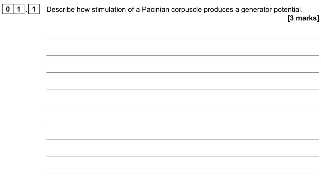 June 2023 Paper 3, question 01.1: Describe how stimulation of a Pacinian corpuscle produces a generator potential. [3 marks]