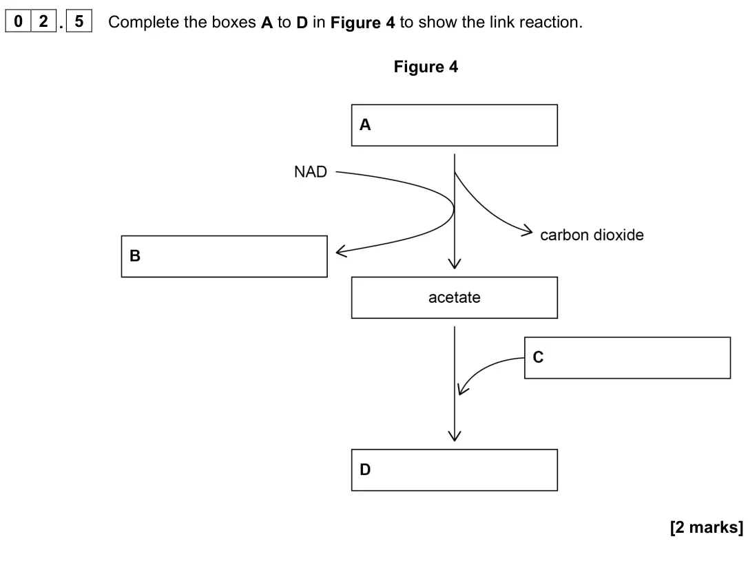 June 2023 Paper 3, question 02.5: Complete the boxes A to D in Figure 4 to show the link reaction. Figure 4 [2 marks]