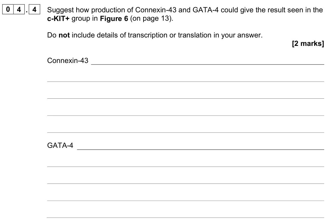 June 2023 Paper 3, question 04.4: Suggest how production of Connexin-43 and GATA-4 could give the result seen in the c-KIT+ group in Figure 6 (on page 13). Do not include details of transcriptio