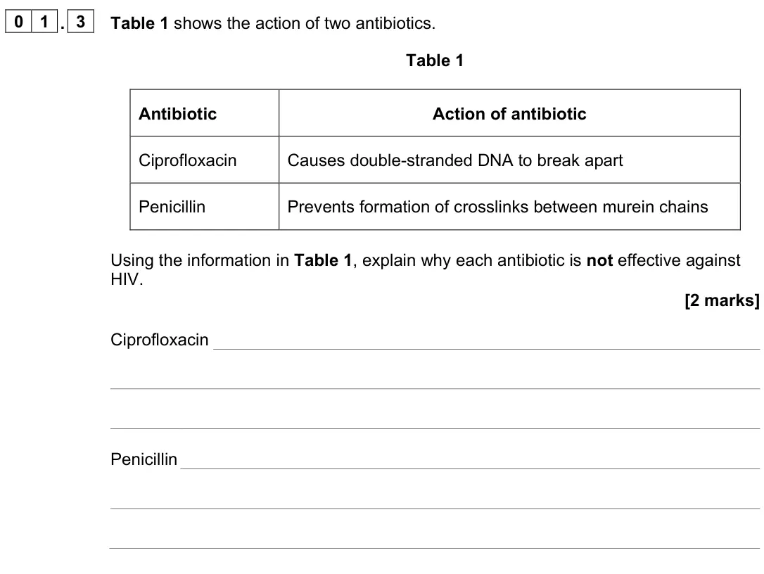 June 2024 Paper 3, question 01.3: Table 1 shows the action of two antibiotics. Table 1 Antibiotic Action of antibiotic Ciprofloxacin Causes double-stranded DNA to break apart Penicillin Prevents