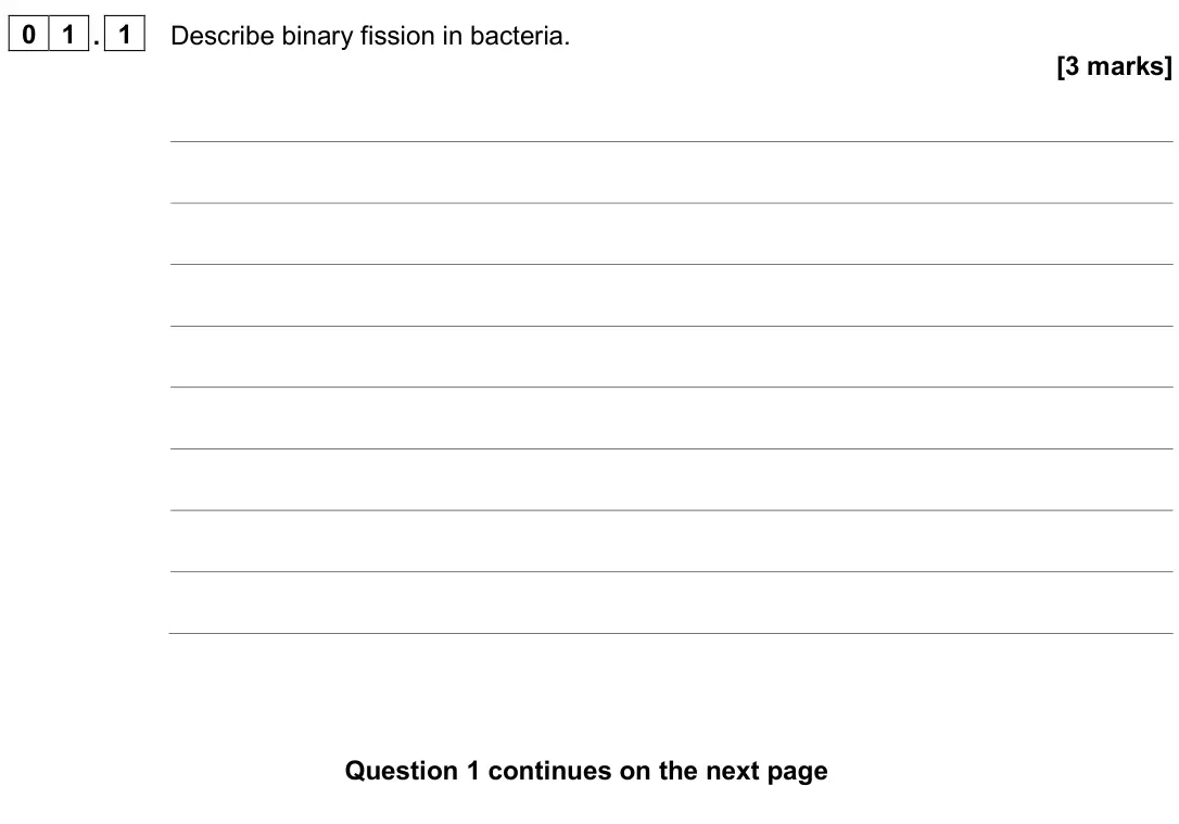 June 2025 Paper 3, question 01.1: Describe binary fission in bacteria. [3 marks]