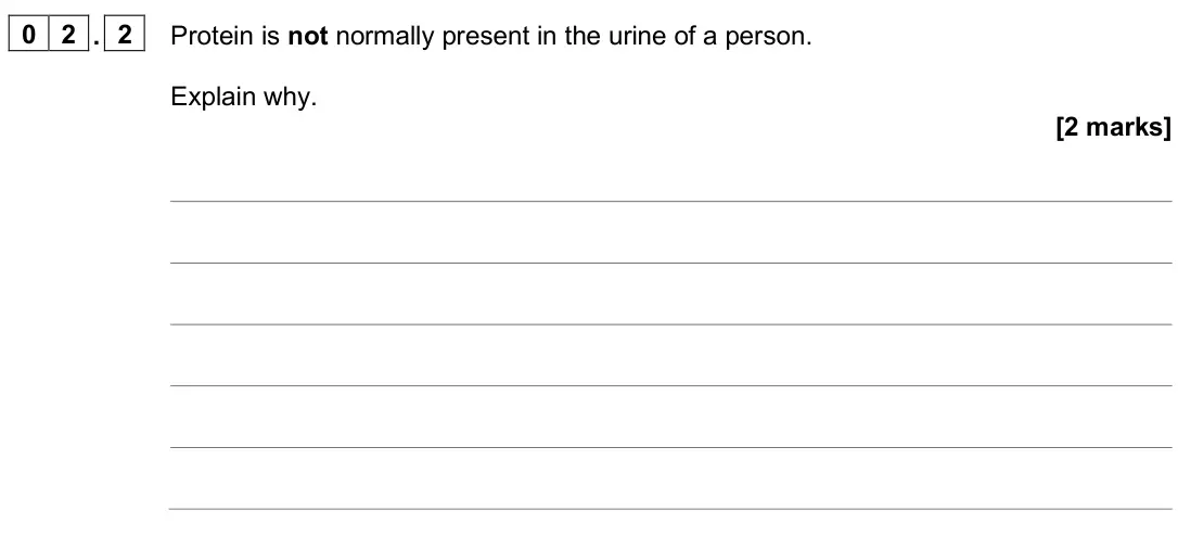 June 2025 Paper 3, question 02.2: Protein is not normally present in the urine of a person. Explain why. [2 marks]