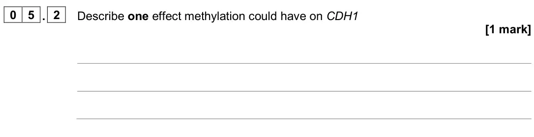 June 2025 Paper 3, question 05.2: Describe one effect methylation could have on CDH1 [1 mark]