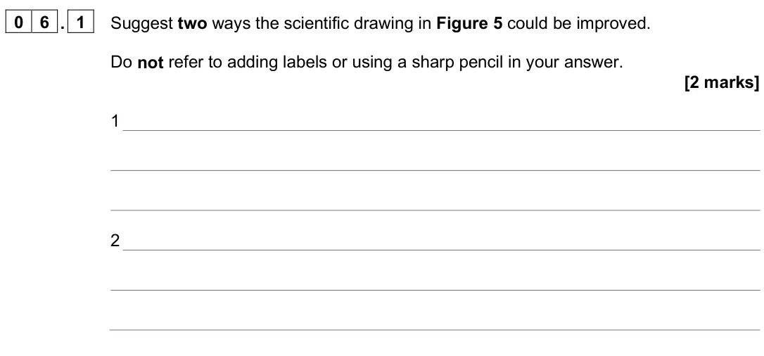 June 2025 Paper 3, question 06.1: Suggest two ways the scientific drawing in Figure 5 could be improved. Do not refer to adding labels or using a sharp pencil in your answer. [2 marks] 1 2