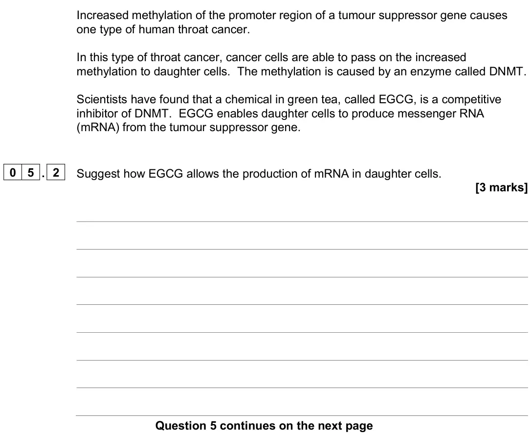 November 2020 Paper 3, question 05.2: Suggest how EGCG allows the production of mRNA in daughter cells. [3 marks]