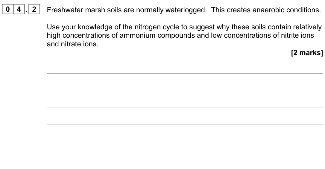 November 2021 Paper 3, question 04.2: Freshwater marsh soils are normally waterlogged. This creates anaerobic conditions. Use your knowledge of the nitrogen cycle to suggest why these soils contain