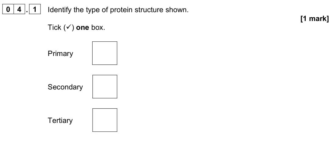 June 2022 Paper 2, question 04.1: Identify the type of protein structure shown. [1 mark] Tick () one box. Primary Secondary Tertiary