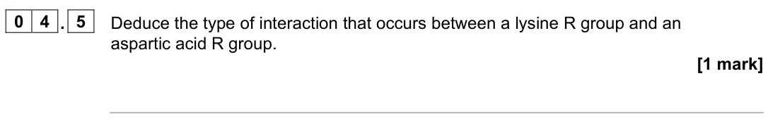 June 2022 Paper 2, question 04.5: Deduce the type of interaction that occurs between a lysine R group and an aspartic acid R group. [1 mark]