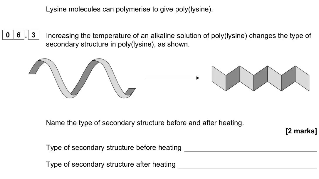 June 2025 Paper 2, question 06.3: Increasing the temperature of an alkaline solution of poly(lysine) changes the type of secondary structure in poly(lysine), as shown. Name the type of secondary