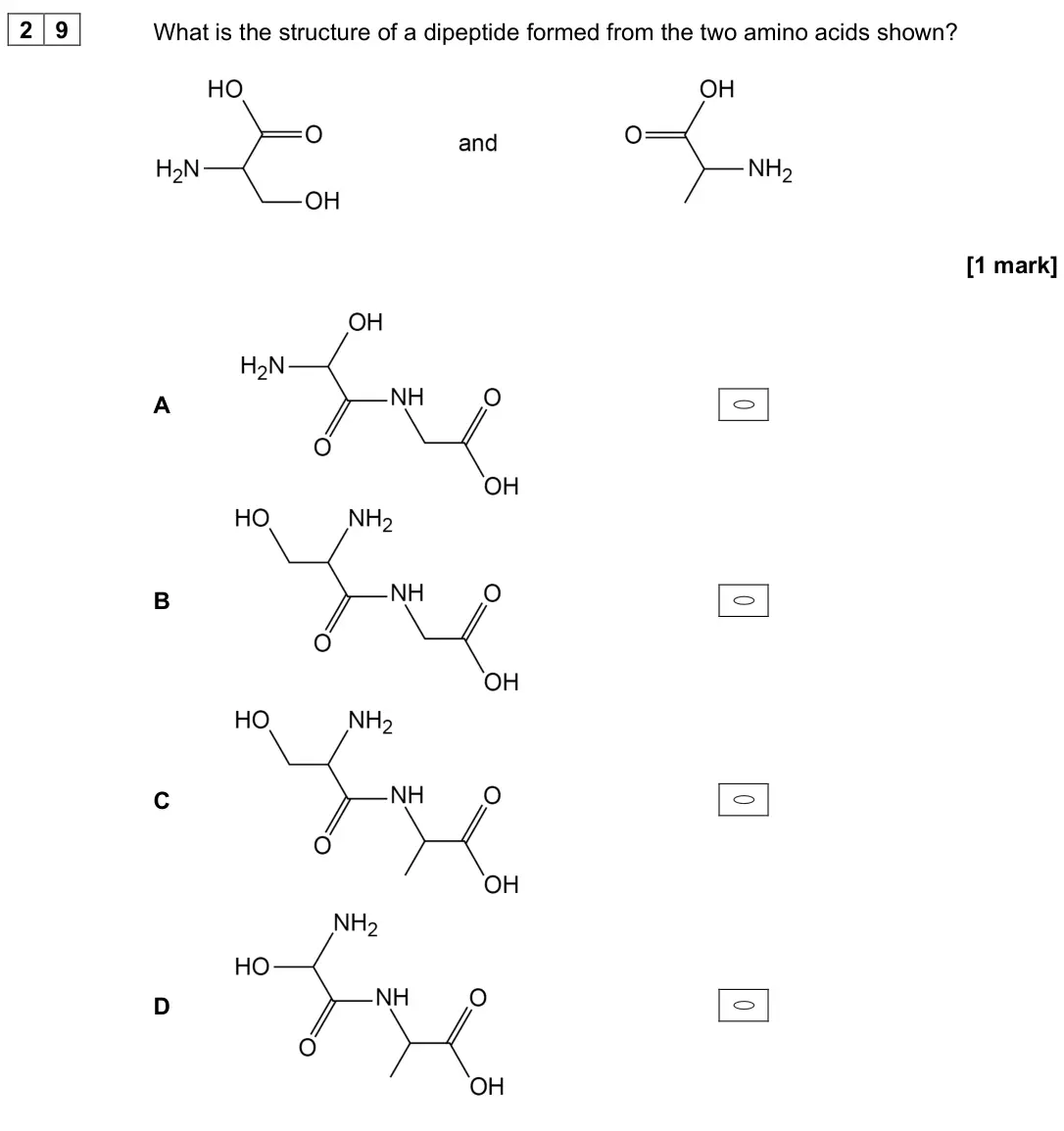 June 2025 Paper 3, question 29: What is the structure of a dipeptide formed from the two amino acids shown? [1 mark] A B C D