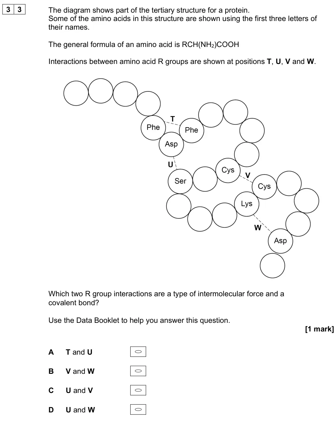 June 2025 Paper 3, question 33: The diagram shows part of the tertiary structure for a protein. Some of the amino acids in this structure are shown using the first three letters of their names