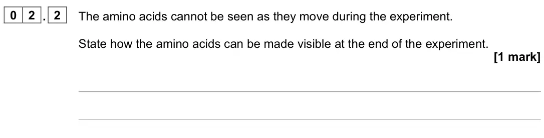 November 2021 Paper 3, question 02.2: The amino acids cannot be seen as they move during the experiment. State how the amino acids can be made visible at the end of the experiment. [1 mark]