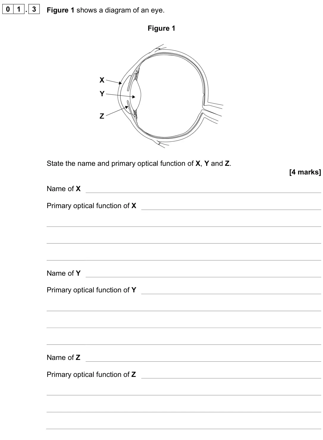 June 2022 Paper 3 Medical physics, question 01.3: Figure 1 shows a diagram of an eye. Figure 1 State the name and primary optical function of X, Y and Z. [4 marks] Name of X Primary optical function of X Name o