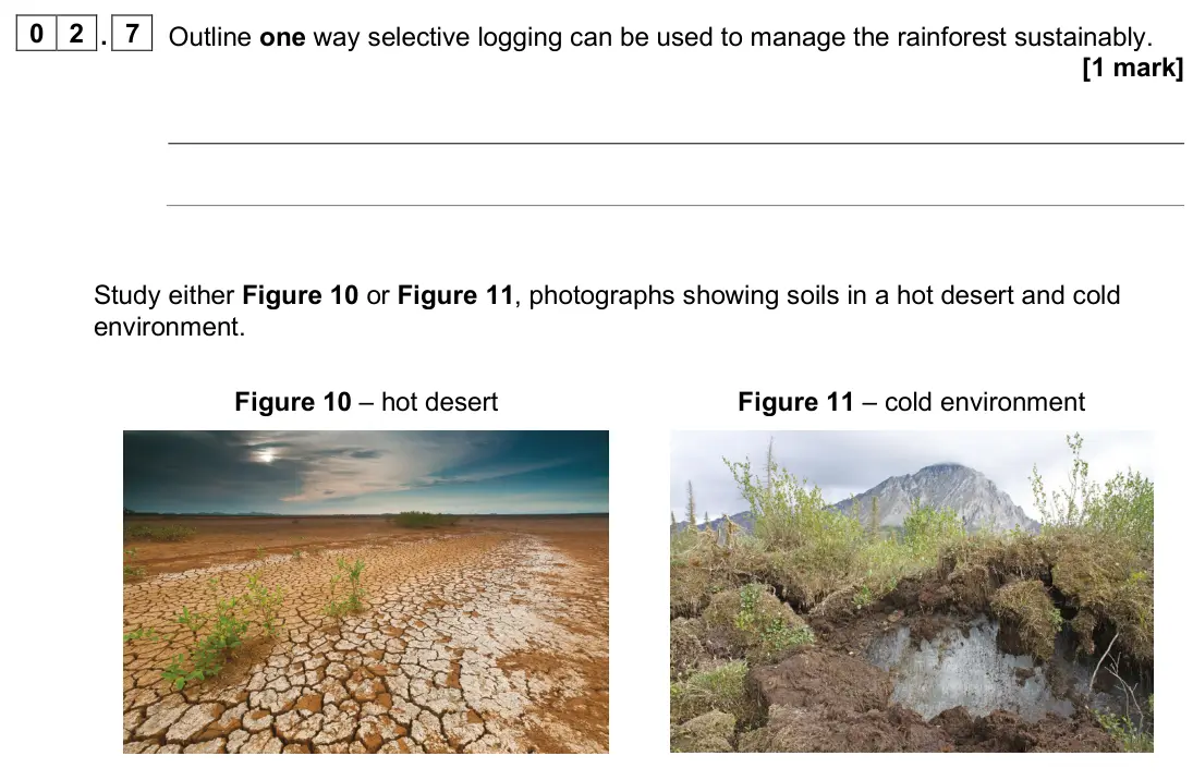 June 2024 Paper 1, question 02.7: Outline one way selective logging can be used to manage the rainforest sustainably. [1 mark]