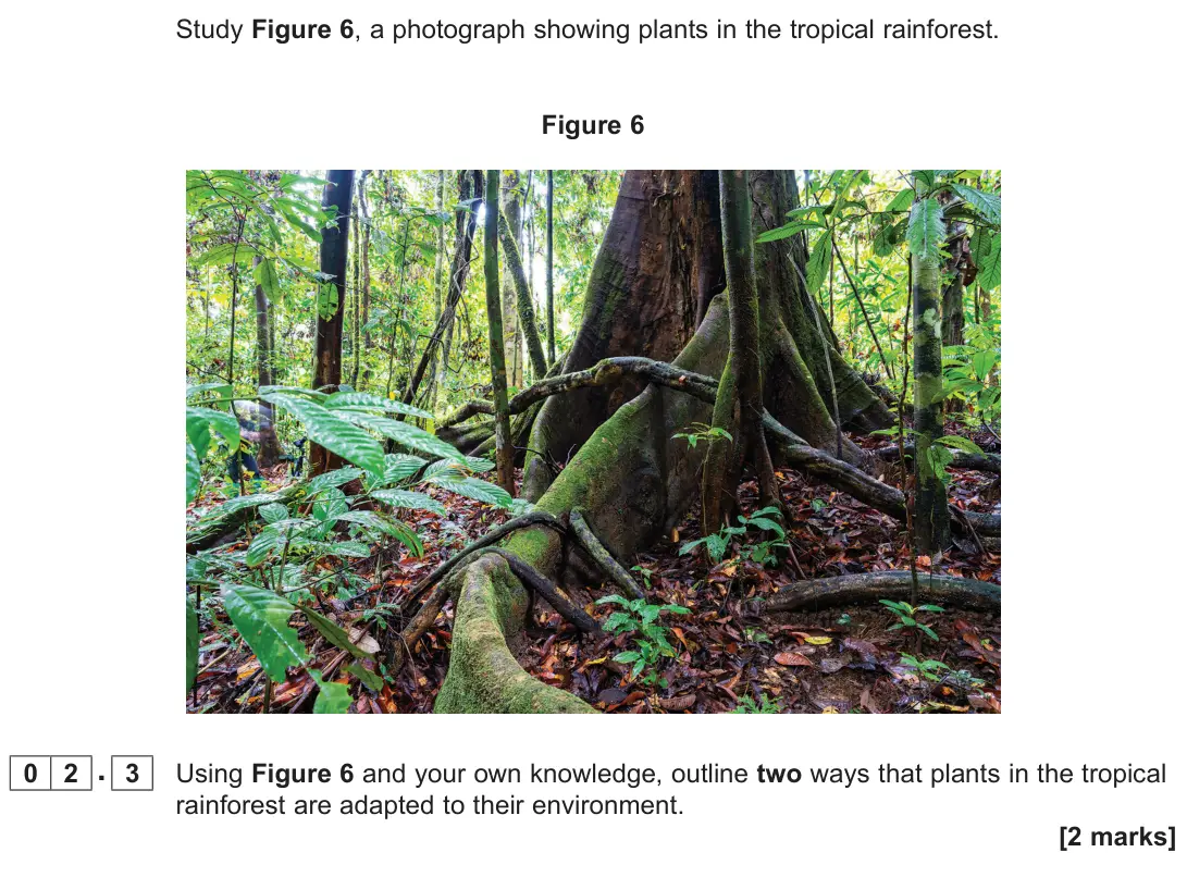 June 2025 Paper 1, question 02.3: Using Figure 6 and your own knowledge, outline two ways that plants in the tropical rainforest are adapted to their environment. [2 marks]