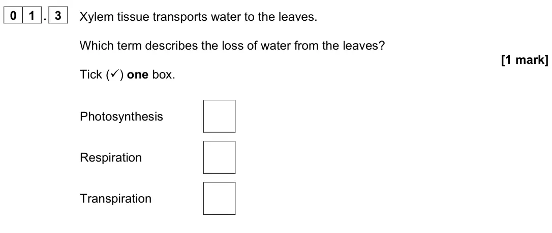 June 2024 Paper 1 Foundation, question 01.3: Xylem tissue transports water to the leaves. Which term describes the loss of water from the leaves? [1 mark] Tick () one box. Photosynthesis Respiration Trans