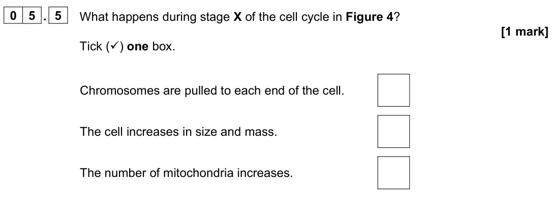 June 2024 Paper 1 Foundation, question 05.5: What happens during stage X of the cell cycle in Figure 4? [1 mark] Tick () one box. Chromosomes are pulled to each end of the cell. The cell increases in size