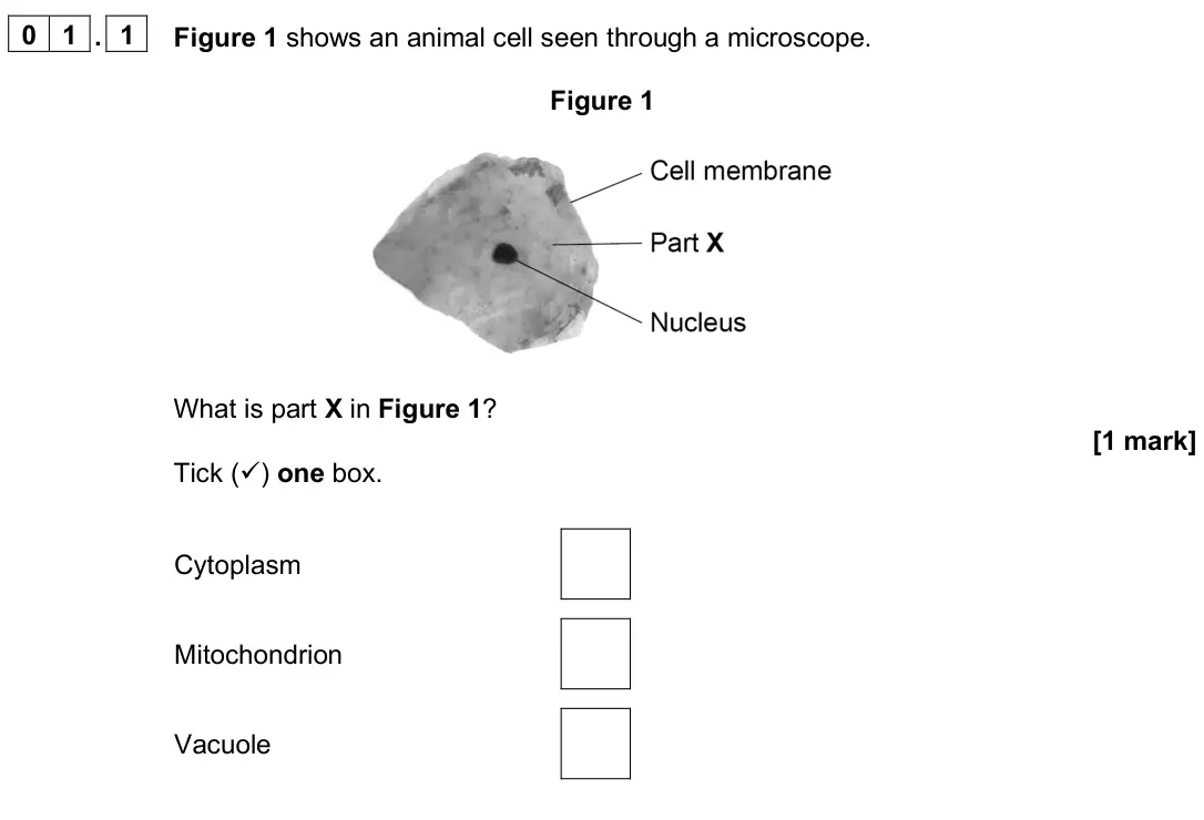 June 2025 Paper 1 Foundation, question 01.1: Figure 1 shows an animal cell seen through a microscope. Figure 1 What is part X in Figure 1? [1 mark] Tick () one box. Cytoplasm Mitochondrion Vacuole