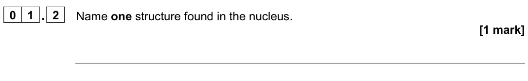 June 2025 Paper 1 Foundation, question 01.2: Name one structure found in the nucleus. [1 mark]
