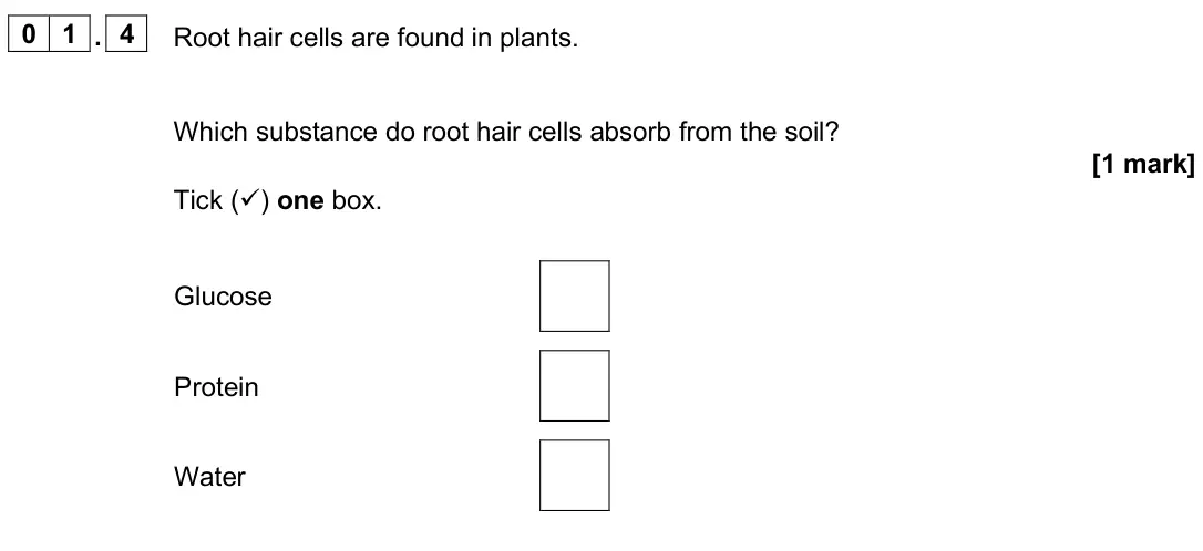 June 2025 Paper 1 Foundation, question 01.4: Root hair cells are found in plants. Which substance do root hair cells absorb from the soil? [1 mark] Tick () one box. Glucose Protein Water