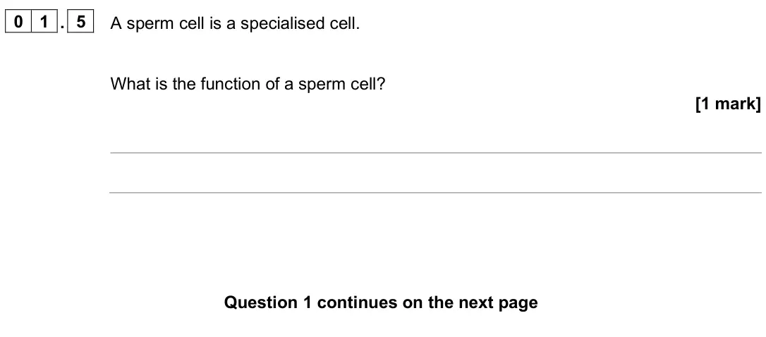June 2025 Paper 1 Foundation, question 01.5: A sperm cell is a specialised cell. What is the function of a sperm cell? [1 mark]