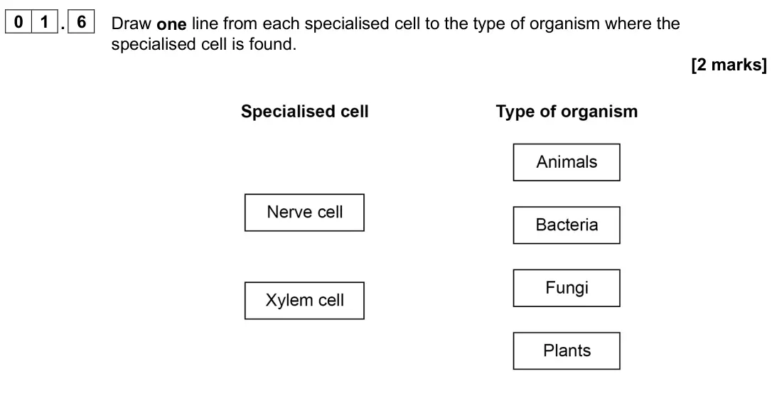 June 2025 Paper 1 Foundation, question 01.6: Draw one line from each specialised cell to the type of organism where the specialised cell is found. [2 marks]