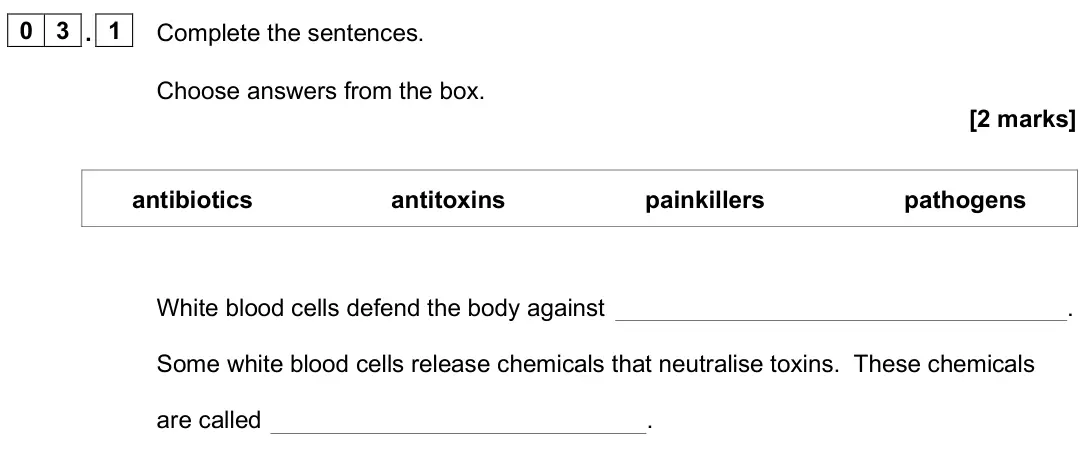 June 2025 Paper 1 Foundation, question 03.1: Complete the sentences. Choose answers from the box. [2 marks] antibiotics antitoxins painkillers pathogens White blood cells defend the body against . Some whi