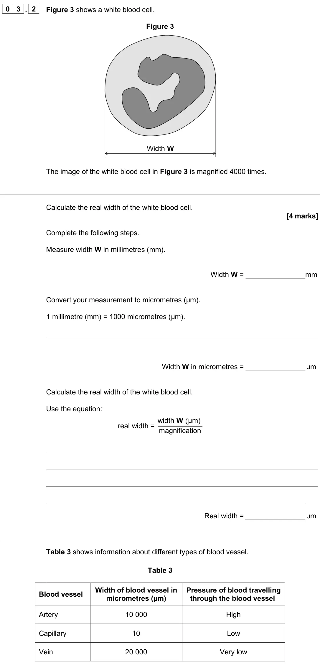 June 2025 Paper 1 Foundation, question 03.2: Figure 3 shows a white blood cell. Figure 3 The image of the white blood cell in Figure 3 is magnified 4000 times. Calculate the real width of the white blood c
