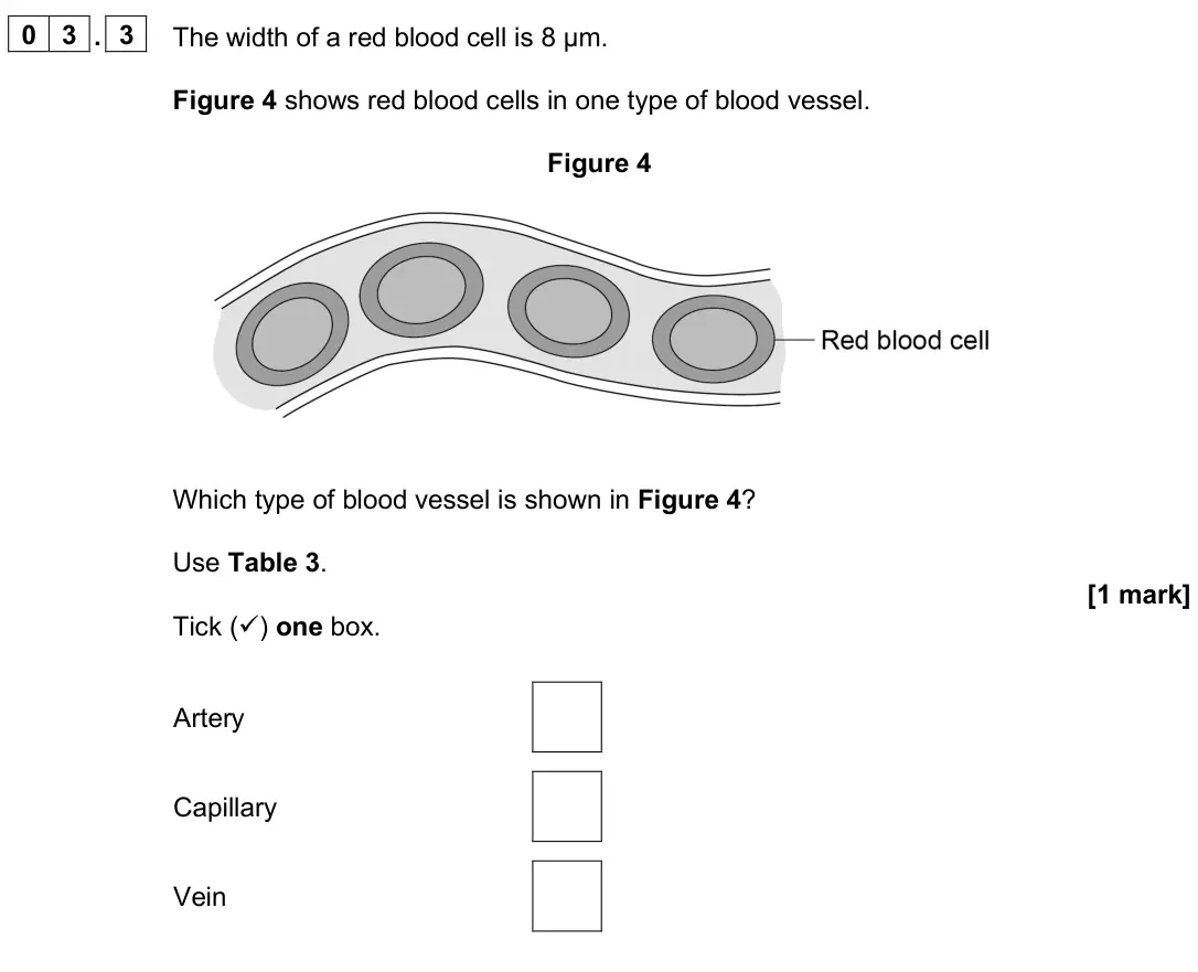 June 2025 Paper 1 Foundation, question 03.3: The width of a red blood cell is 8 µm. Figure 4 shows red blood cells in one type of blood vessel. Figure 4 Which type of blood vessel is shown in Figure 4? Use