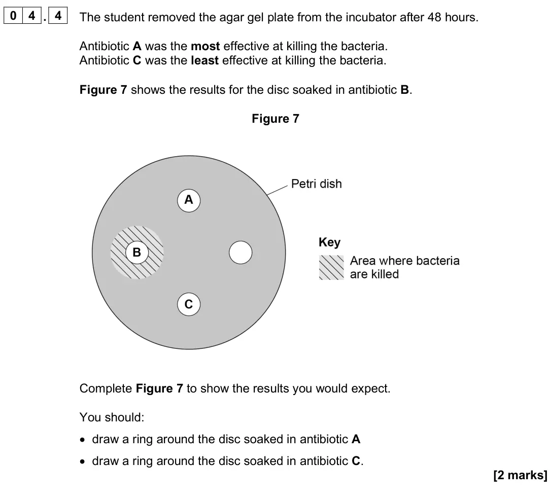 June 2025 Paper 1 Foundation, question 04.4: The student removed the agar gel plate from the incubator after 48 hours. Antibiotic A was the most effective at killing the bacteria. Antibiotic C was the leas