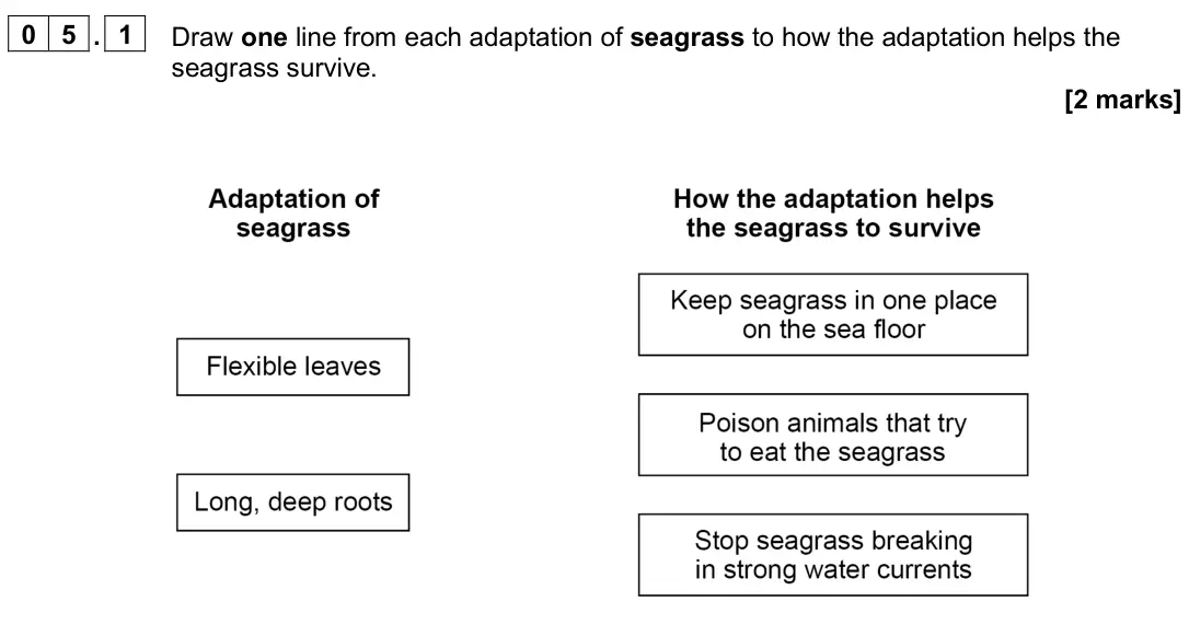 June 2025 Paper 1 Foundation, question 05.1: Draw one line from each adaptation of seagrass to how the adaptation helps the seagrass survive. [2 marks]