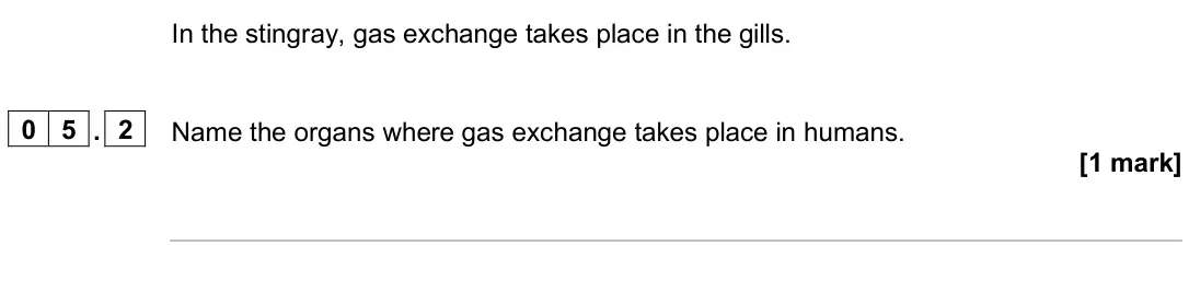 June 2025 Paper 1 Foundation, question 05.2: Name the organs where gas exchange takes place in humans. [1 mark]